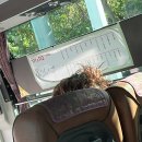 플랙스 코인노래연습장 이미지