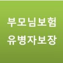 부모님보험 유병자보장 이미지