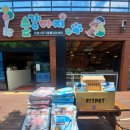 화이트동물메디컬센터 이미지