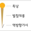 봉침놓는방법 이미지