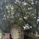 교래자연휴양림야영장 | 제주캠핑장 교래자연휴양림 야영장 1박 후기