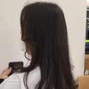 엘에스제이뷰티헤어