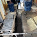 춘천농협주유소 이미지