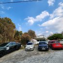 펠리스빼로 | [동탄 / 용인 애견카페, 고양이카페] 데이트코스로 추천하는 펠리스빼로 시티점 내돈내산 방문후기