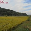 이반성면-7 네이버블로그