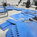 명가체육관 이미지