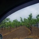 세찬농장 이미지