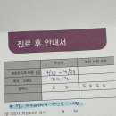 오메디약국 | [창원 엘르메디] 1차 인공수정 후기 - 조기배란??