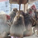 옹기종기 이미지