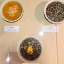 풋감마을 | 동부국민체육센터 자유수영, 해녀박물관 후기 [제주 비 오는 날 가볼 만한 곳]