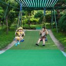 시리미로 이미지