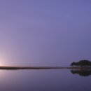 안성초등학교 이미지