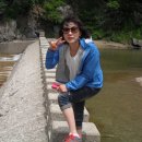 여주-0574 Daum카페