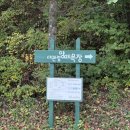 뿌리목장 | ☁️ 비 와도 좋아 — 아기랑 대관령 양떼목장 방문 후기