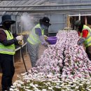 백양산 양묘장 이미지