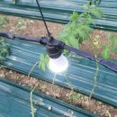 보광농장 이미지