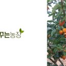 꿈꾸는농장 이미지