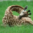 청계종합동물병원 이미지