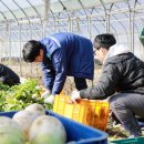 (주)농협물류 - 평택시 | (주)농협물류