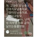 🆘️방콕시내 유명 쇼핑몰 서 14세소년 총기난사 *️⃣살인죄 기소예정" ⁉️우울증'과 분열증"의 차이❔ 이미지