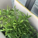 경신농약사 이미지