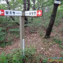 자전거로 그리는 우 이미지