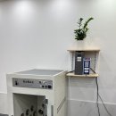 마이리틀프렌드 강남점 이미지
