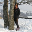 강릉목장 이미지