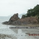 함초밭