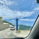홍이관광주