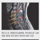 최마취통증의학과의원 이미지