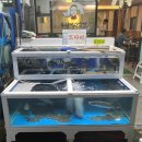 용원가덕횟집 이미지