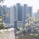 국립기상박물관 이미지