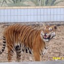 달성공원 이미지