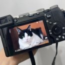 다모아소프트 | 소니 a7c2, 2470 GM2 카메라 렌즈 후기 소프트 스킨 동영상 사진 결과물 소니 정품 등록 이벤트