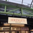 세렝게티 | 속초 세렝게티 베이크샵 방문후기