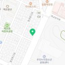 커들리 퍼피 창원강아지 분양 이미지