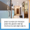 다솜이비인후과 의원 이미지