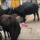 보나약국 이미지