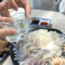 강원도 강릉 남항진 해변 나만 알고싶은 노포 횟집 &#34;방가네 포장마차&#34;