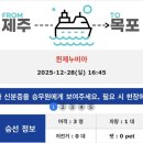 스위트펫 | 제주->목포 배편 <퀸제누비아> 펫스위트룸 후기| 골드스텔라호와 솔직 비교