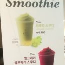 그린티엔씨