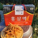 정 농원 이미지