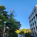 PDS PC방 | 대학교 중소벤처기업의이해] 외식경영&amp;상권분석 / 김영갑 교수님의 특강 후기 / 매일 블로그 글쓰기 도전!