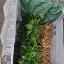 스마트큐브 1차 이미지