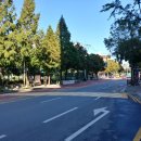 원일초 정문 앞 이미지