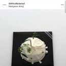 닷트케이크(dot.t cake)