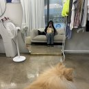 CU 평택비전푸르지오점 | 평택 소사벌 증명사진 비바포토 촬영 후기 📷