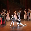 힐스앙쥬 발레무용학원 이미지