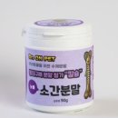 닥터온펫